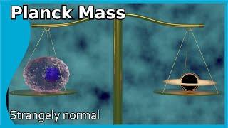 The Planck Mass Not extremely big and not extremely small