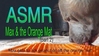 Max Licks Peanut Oil  ASMR Dog Licking Sounds  No Talking