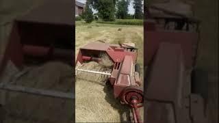 IH Baler Stomping Through Heavy Hay  #farmall806 #IHbaler