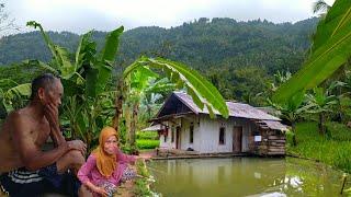 Tinggal Berdua di Rumah Tengah Sawah Suasananya Bikin Betah Suasana Pedesaan Di Jawa Barat