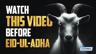 Watch This Video Before Eid-ul-Adha