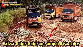 Truk Sawit Fuso Oren Dan Canter Paksa Habis habisan Sampai Bisa Lolos