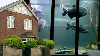 This Is Englands Largest Home Aquarium