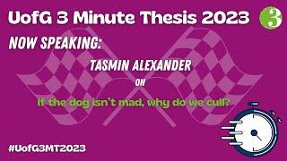 UofG 3MT 2023 - Tasmin Alexander - If the dog isn’t mad why do we cull?