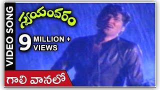 Gali Vanalo Video Song  Swayamvaram Movie  Shoban Babu  Jayapradha  Rajshri Telugu