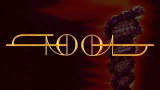 New Tool Album Update July 2019