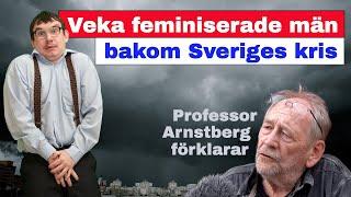 Veka feminiserade män bakom Sveriges kris