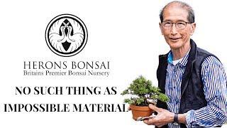 How to make Bonsai from Impossible Material