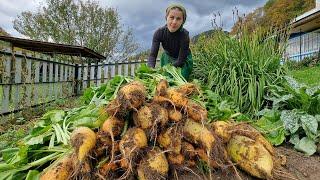 HOW A WOMAN LIVES ALONE IN THE MOUNTAINS COOKING GIANT BEET