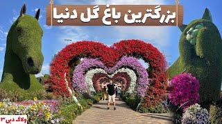 بزرگ ترین باغ گل دنیا در دوبی- Miracle Garden Dubai