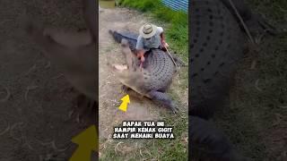 pria tua ini hampir kepatok buaya legah dikit pindah alam #shortvideo #animals #feedshorts