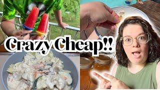 No Food Waste Recipes  Crazy Cheap Recipes that ANYONE Can Make