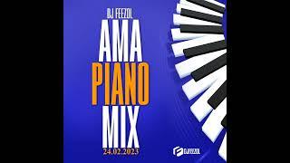 DJ FeezoL Amapiano Mix 24.02.2023