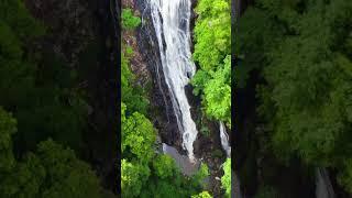 Kondalilla Falls  Sunshine Coast Queensland #queensland #waterfall #sunshinecoast