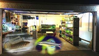 Wild Fish Tank Room Tour - Garage Fish Room