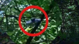UFO 2019 real. НЛО попало в кадр видео в лесу. летающая тарелка нло 2019. неопознанное