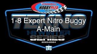 Expert Nitro Buggy A-Main  Tekno Winter Series at the Plex  Round 4