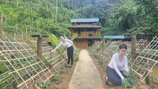 Girl Complete a beautiful melon trellis in a day & cook dinner -Girl Building Bushcraft Life