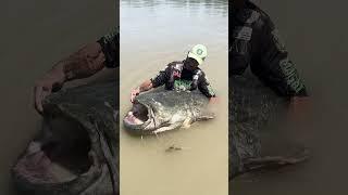 World Record Catfish - Caught on a Cannibal shad and SGS8 Reel