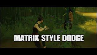 Sifu Matrix Style Dodge