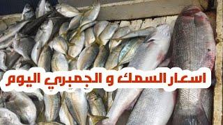 اسعار السمك والجمبري بالاسواق اليوم  3 مايو  2023