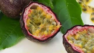 Free Passionfruit. How to get 1000s of Passionfruit for free in your garden.