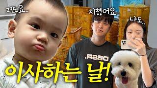 VLOG 드디어 이사했어요️역대급 힘들고 오래 걸린 이사