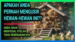 ANDA INGIN BANYAK REZEKI ??  MENURUT ISLAM JANGAN DI USIR BILA 10 HEWAN INI MASUK KE DLM RUMAH