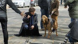 Filming With The Dog  Sherlock