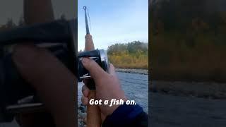 Fishing Diaries #1 - Screaming Vedder River Spring Salmon  #fishingvideo #riverfishing #fishing