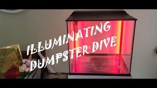 Dollar Tree and Pet Store Dumpster Finds Save from the landfill #pets #frugal #dumpsterdiving