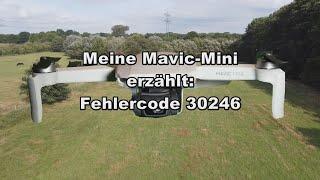 Motor Speed Error Meine Mavic Mini erzählt Fehlercode 30246