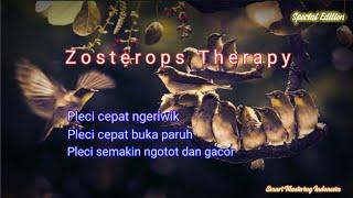 Smart Mastering - Zosterops Therapy khusus burung pleci