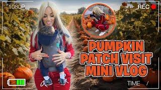 Pumpkin Patch Visit Mini Vlog