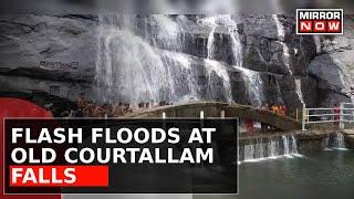 Flash Flood At Old Courtallam Falls In Tenkasi  Tamil Nadu Heavy Rainfall News Updates