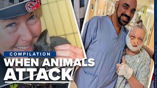 The victims behind horrific animal attacks