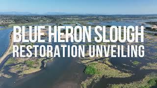 Blue Heron Slough Restoration Unveiling