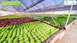 Guided virtual tour of aquaponics farm in Hekpoort Gauteng South Africa