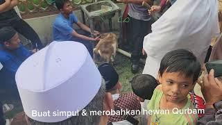 TUTORIAL TALI SIMPUL & MEROBOHKAN HEWAN QURBAN