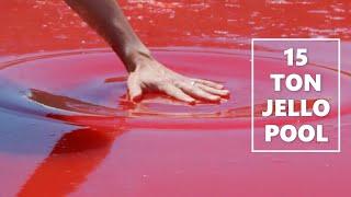 Mark Robers 15 Ton Jello Pool  A Childs Dream