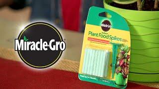 How to Feed Your Plants with Miracle-Gro® Plant Food Spikes