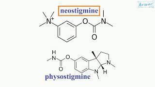 neostigmine English - Medical terminology for medical students -