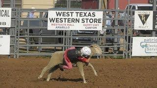 Mutton Bustin - 2018 Will Rogers Range Riders Rodeo - Saturday