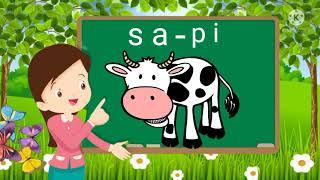 Learn to read and spelling for kindergarten and elementary school children