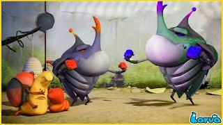 LARVA  COPY  CARTOON MOVIE FOR LIFE THE BEST OF CARTOON  HILARIOUS CARTOON COMPILATION