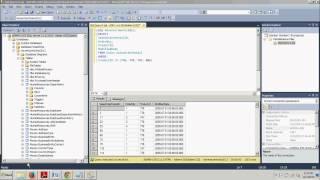 SQL Server Tutorial 28 Using the WHERE clause with multiple conditions