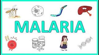 Malaria - Causes Pathogenesis Signs and Symptoms Diagnosis Treatment and Prevention.