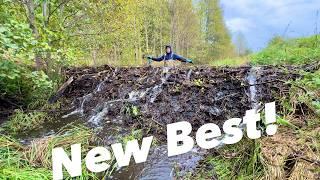 Top 1 Collpase ? Flooded Road