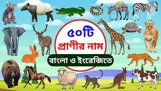 ৫০টি প্রাণীর নাম  পশুর নাম  বিভিন্ন প্রাণীর নাম  Animals Name in Bengali to English  50 Animals