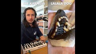 The Kiffness x Lalala Dog - Lalala Live Looping Singing Dog Song